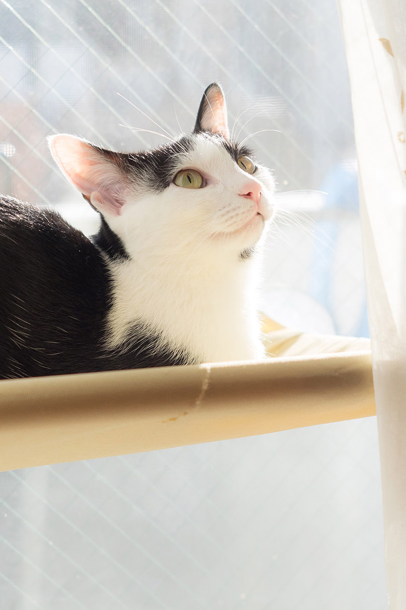 Duis aute irure dolor in reprehenderit in voluptate velit esse cillum dolore eu fugiat nulla pariatur.